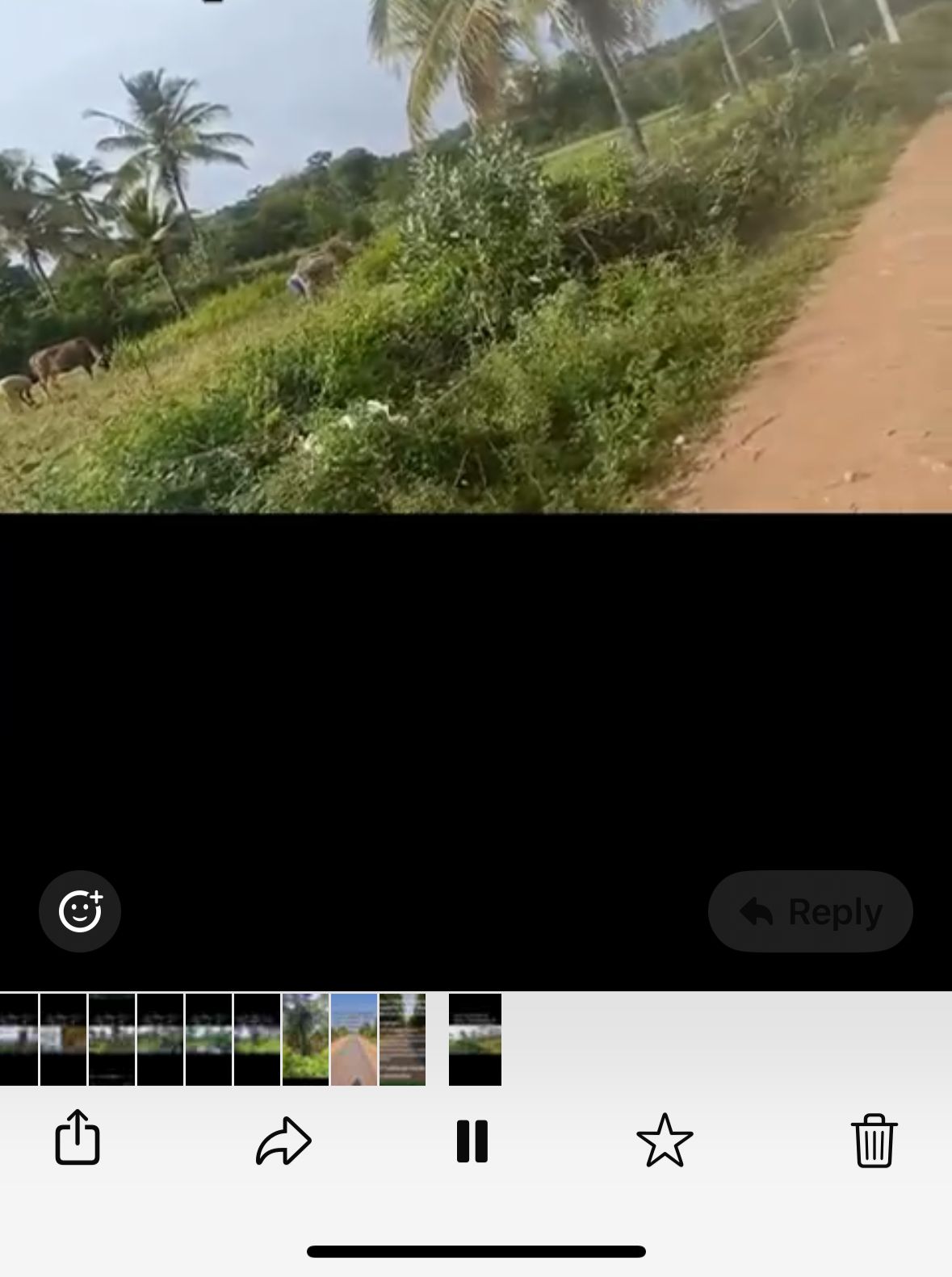 🆔 *Property ID – 5171* 🥥🌴 *3 Acre Coconut Farm for Sale – Hanur, Chamarajanagar District*